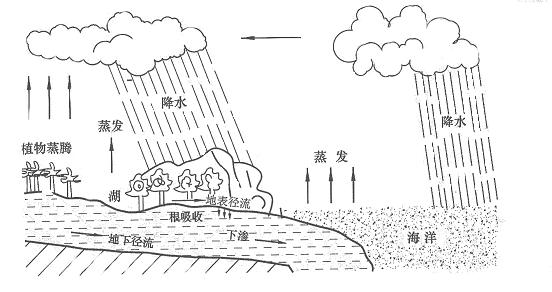 大气降水中离子的分析