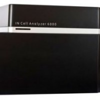 激光共聚焦成像分析系统IN Cell Analyzer 6000