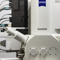 ZEISS Sigma 300场发射扫描电子显微镜