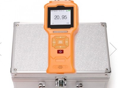 泵吸式氢气检测仪 ZRX-29440