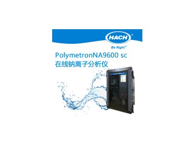 在线钠离子分析仪Polymetron NA9600