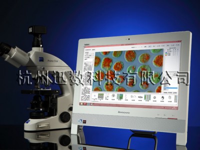 迅数S300藻类智能鉴定计数仪