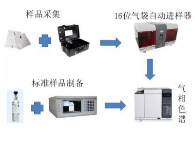 甲烷非甲烷总烃自动进样解决方案