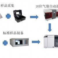 甲烷非甲烷总烃自动进样解决方案