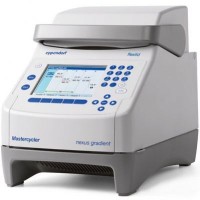 Eppendorf Mastercycler nexus PCR仪