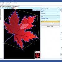 LeafAnalysis专业叶片分析软件