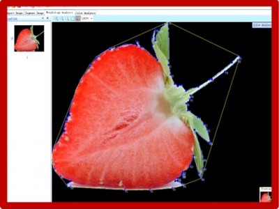 FruitAnalysis专业果实分析软件