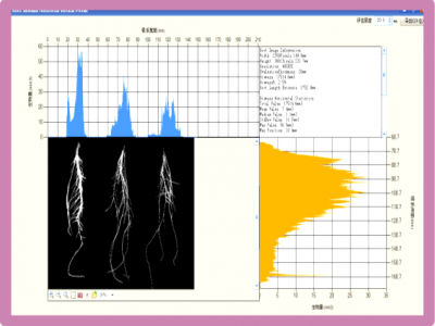 RootAnalysis专业根系分析软件