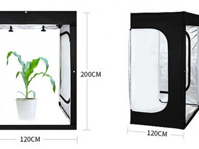 万深PhenoGA植物表型分析测量仪