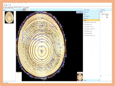 RingAnalysis专业年轮分析软件