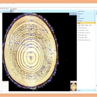 RingAnalysis专业年轮分析软件