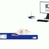 大小鼠心电、血压、血氧遥测系统