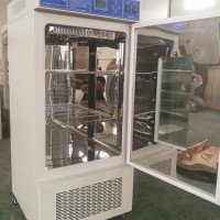上海培因霉菌培养箱MJP-150