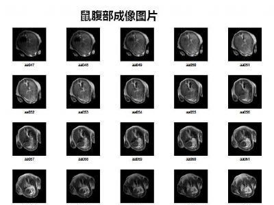 1.5T（35mm)动物核磁共振成像系统