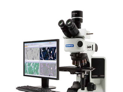 奥林巴斯金相材料分析显微镜BX53M