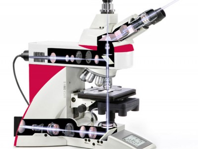德国徕卡 正置智能型显微镜 DM4 B