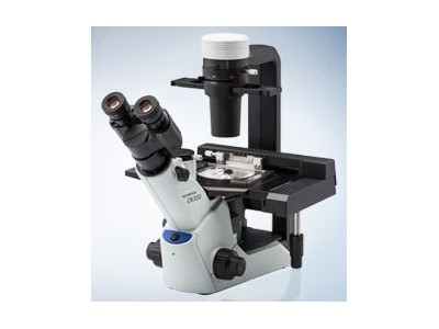 奥林巴斯olympus CKX53倒置显微镜