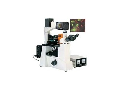 倒置荧光显微镜DFM-60D