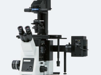 奥林巴斯倒置荧光显微镜IX73