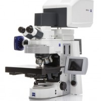 蔡司LSM800共聚焦显微镜