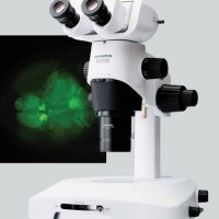 奥林巴斯研究级临床体式显微镜SZX16