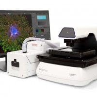 Invitrogen EVOS M7000全自动活细胞成像系统