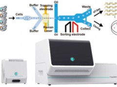 首款高通量流式拉曼分选仪FlowRACS在中科院青岛能源所诞生