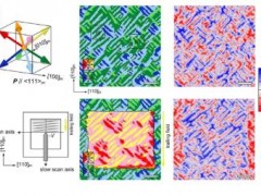 原子力显微镜(Atomic Force Microscopy)观察多铁薄膜中的磁畴翻转