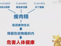 3.15曝出“瘦肉精”问题 液相色谱仪出具克伦特罗的测定方案