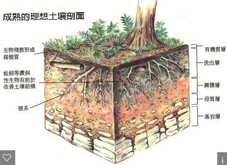 HJ 1184-2021《土壤和沉积物 6种邻苯二甲酸酯类化合物的测定 气相色谱-质谱法》