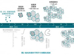 质子交换膜燃料电池的催化剂浆料分析 X射线衍射 (XRD)、激光衍射和动态光散射技术