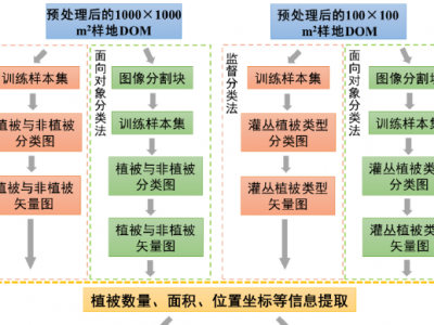 无人机遥感技术