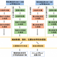 无人机遥感技术