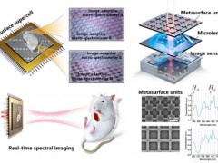清华大学黄翊东教授团队成功研发出实时超光谱成像芯片