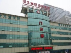 湖北省妇幼保健院预算260万 竞争性磋商采购液相色谱质谱联用仪