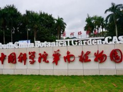 中国科学院华南植物园预算160万 采购稳定同位素分析仪