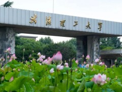 武汉理工大学预算150万元 采购激光器及便携式气体分析仪等仪器设备