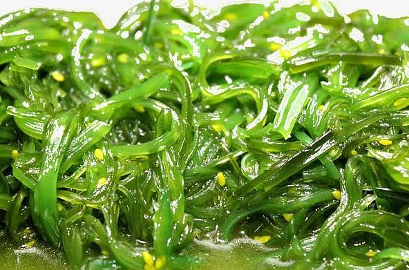 螺旋藻中金属元素的快速测定