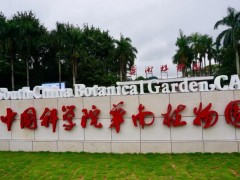 中国科学院华南植物园预算47万元 招标采购连续流动分析仪