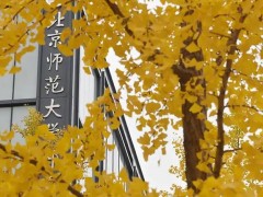 北京师范大学850万 采购X射线电池原位结构分析仪、固体核磁共振谱仪