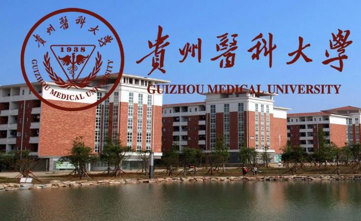 贵州医科大学预算709万 采购静电场超高分辨液质联用仪