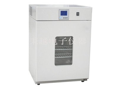 DH2500A电热恒温培养箱