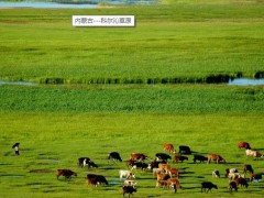 内蒙古自治区水利科学研究院预算83万 磋商采购实验中心实验仪器