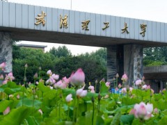 武汉理工大学预算300万元 招标交通类专业实验综合平台项目