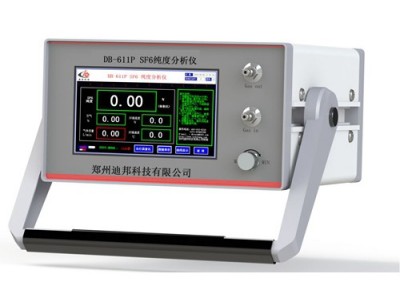 DB-611P SF6纯度分析仪