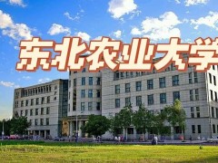 东北农业大学农学院预算31万 采购高通量组织研磨仪等