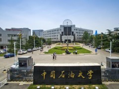 中国石油大学(北京)预算180万 采购井筒-储层流固耦合教学科学实验平台