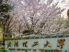 武汉理工大学预算2200万元 采购800M固体核磁共振波谱仪