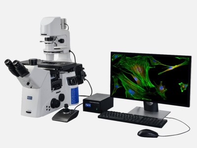 电动荧光显微镜NIB950-FL