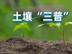 土壤三普中元素的测定 D-Master全自动消解仪